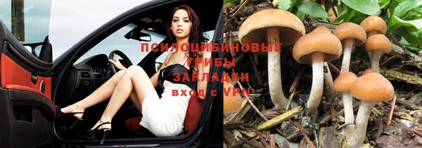 соль курить ск Арсеньев